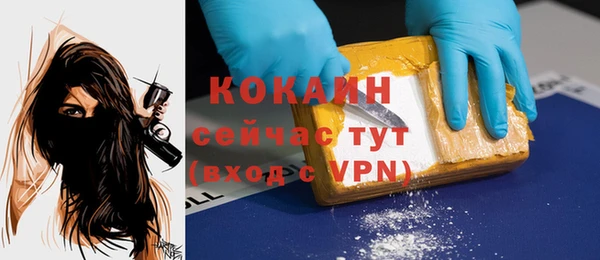 молекула духа Верхний Тагил