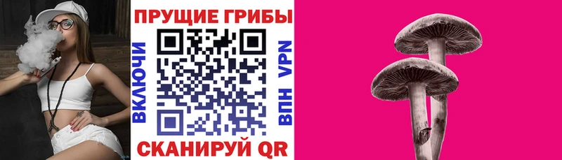 где купить наркотик  Ермолино  блэк спрут ссылки  Галлюциногенные грибы Magic Shrooms 